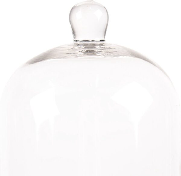Clayre & Eef Stolp Ø 15x21 cm Transparant Glas Hout Rond Glazen Stolp - Afbeelding 8